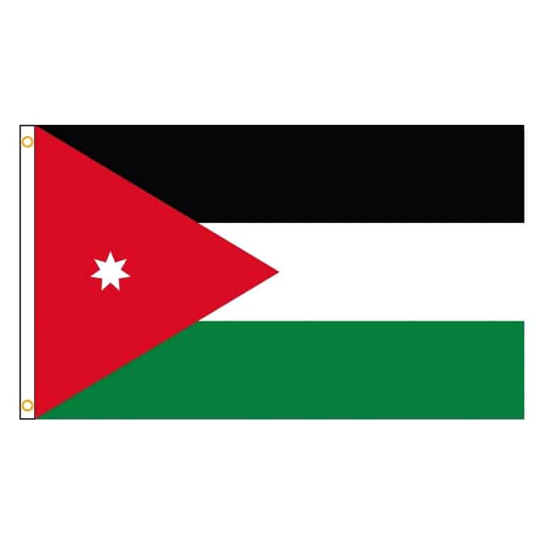 TENDYCOCO broche drapeau broche pastèque palestine épingle bijoux TENDYCOCO broche drapeau broche pastèque palestine épingle bijoux